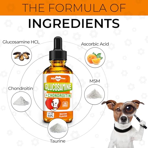 Glucosamine-for-Dogs-Liquid--Hip-and-Joint-Supplement-Dogs-Liquid--Dog-Joint-Supplement-Liquid--Glucosamine-for-Small-Dogs--Liquid-Glucosamine-for-Dogs--Bacon-Flavor--2-Oz - Cucciolini Doodles   Glucosamine-for-Dogs-Liquid--Hip-and-Joint-Supplement-Dogs-Liquid--Dog-Joint-Supplement-Liquid--Glucosamine-for-Small-Dogs--Liquid-Glucosamine-for-Dogs--Bacon-Flavor--2-Oz