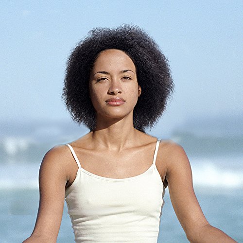 Sayas Short Synthetic Afro Kinky Curly Hair Wigs New Design For African Americans Women 1B Color Natural Black Wigs