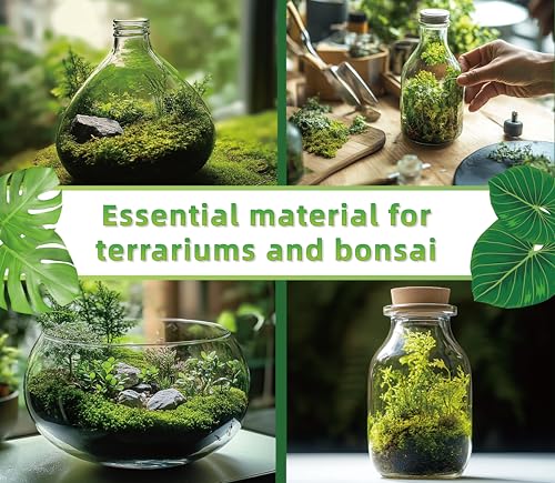 Lucky Plant Live Moss For Reptiles - Terrarium Moss For Reptiles Peat Moss For Reptiles Habitat Bedding Moss For Snakes Turtle Frog Gecko And Other Reptiles Substrate 50 Square Inches Live Moss thumb #3