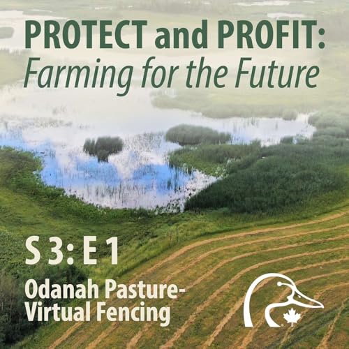 2026 04 April - Odanah Pasture Virtual Fencing