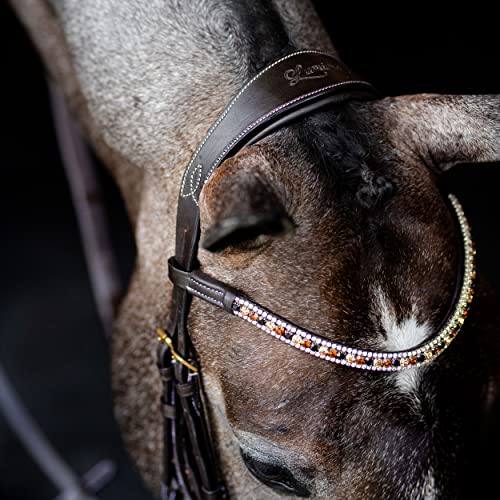 Lumiere Equestrian 'Amber' Anatomic Leather Bridle (Euro Version) Brown Premium Padded Nappa Leather Pony #TOP1