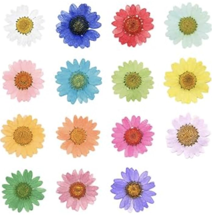 Luxury Dry Flower Box - Daisy Real Dried & Pressed Daisy Flowers for Art Craft Multicolor Soap, Candle, Scrapbooking, DIY, Resin Jewelry, Pendant, Pack of 1-picture-21