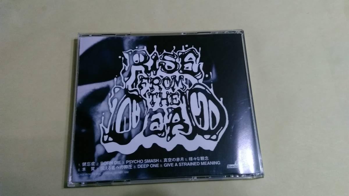 Amazon.co.jp: Rise From The Dead - Rock Fan Dead : ホーム