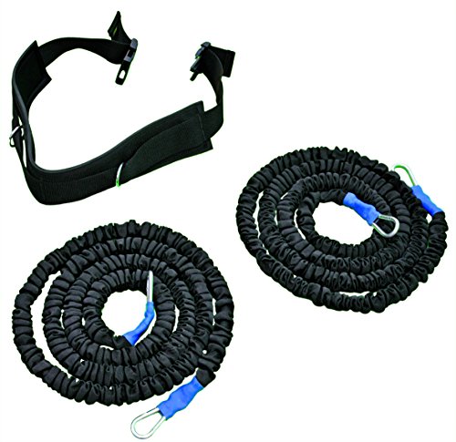 Stroops Cat - Banda elástica, Color Negro