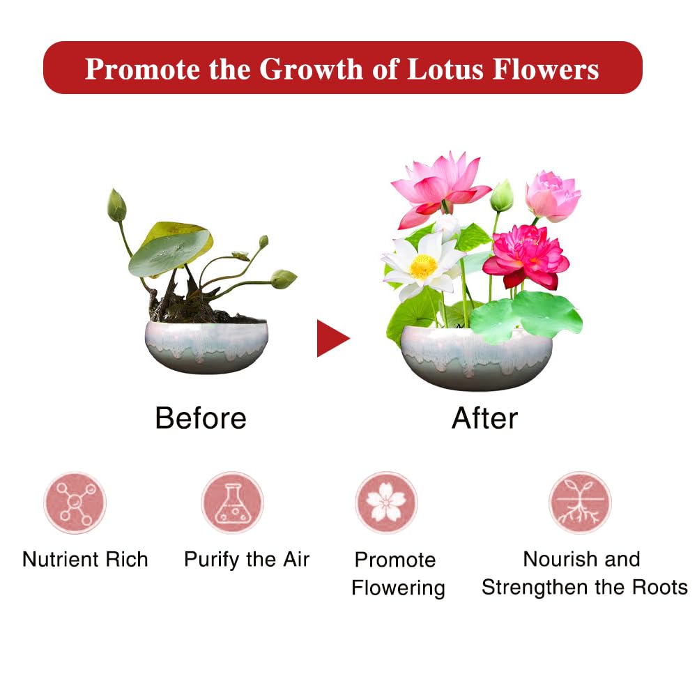 Fertilizante para Plantas Acuáticas,Fertilizante Para Estanques, Fertilizante Para Plantas,Alimento Para Plantas Acuáticas, Suplemento de Crecimiento de Acción Rápida para Plantas de Loto