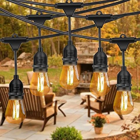 Home Storage King Festoon Outdoor Lights Plug in Fairy Lights Led String Lights 48Ft, Waterproof Connectable Patio String Lights, 15 Hanging Sockets, 15 Vintage Edison Bulbs Cover