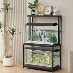 Fish Tank Stand for up to 20-29 Gallon Aquarium, Aquarium Stand with Plant Shelf, Metal Reptile Terrarium Stand with Accessories Storage Fits Aquarium, Turtle Tank or Reptile Terrariums, Black