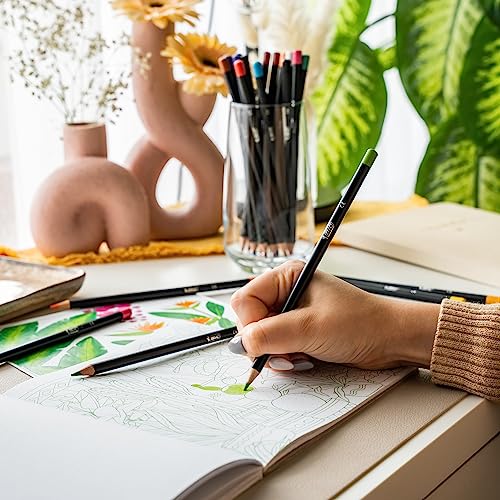 BIC Intensity Crayons de Couleur Idéal Pour Adultes Couleurs Assorties Etui Carton de 36 crayons - vue 7