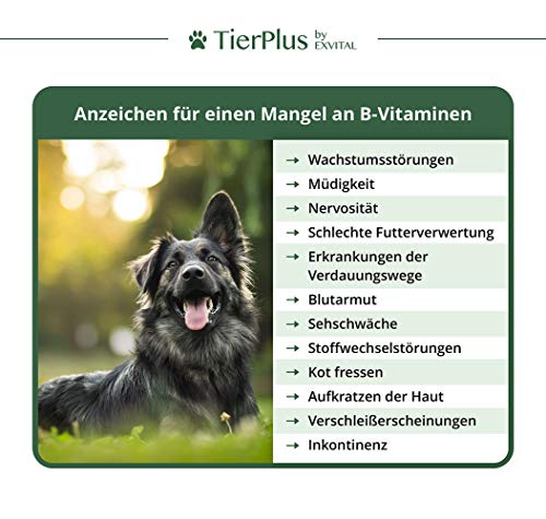 Tierplus Vitamin B Komplex für Hunde & Katzen- B1, B2, B3, B5, B6, B9, B12, K3, 120 Tabletten, hochdosiert- Made in Germany