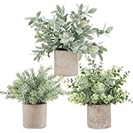 Der Rose 3 Pack Mini Potted Fake Plants Artificial Plastic Eucalyptus Plants Topiaries for Home Office Desk Farmhouse Room Bathroom Decor