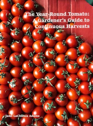 The Year-Round Tomato: A Gardener’s Guide to Continuous Harvests