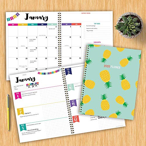 Tf Publishing Tf Publishing 2020 Pineapple Party Large Weekly Monthly Planner thumb #3