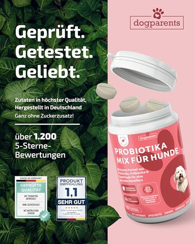 Prä & Probiotika Hund [MADE IN GERMANY, ZUCKERFREI & LABORGEPRÜFT] Darmkur mit 670 Mrd. KBE & Präbiotika – stärkt Darmflora & Verdauung – ideal nach Wurmkur, Grasfressen & Sodbrennen (180g (1er Pack))