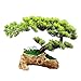 Decorar Cypress Bonsai en la base de tallado de la raíz emular simulación decorativa árbol artificial fake plantas blanco cerámico escultura escultura adornos zen escritorio decoración del hogar Adorn