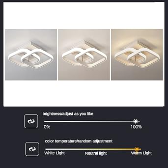 EIDISUNY LED Ceiling Light 22W Modern Square Design LED Ceiling Lamp Cool White/Natural White/Warm White/Metal Ceiling Lighting Fixture for Living Rooms Bedrooms Hallway Office 85V-265V (White) [Energy Class E]
