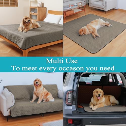 Image of Bunlitent Washable Pee Pads for Dogs 36 inch x 48 inch, 5 Pack, Reusable Potty Buddy for Dogs Washable, Dog Training Pads with Quick Dry, Large Anti-Slip Whelping Pad for Pet, Playpen, Incontinence