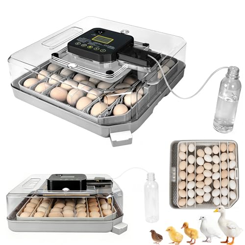4th Gen – 48 Egg Fully Automatic Incubator, 2026 UpgradedDesign, Intelligent Sensor-Based Humidity & Temp Control, Custom Days, Adjustable Auto Turning & Stop, Chick Separator, Flexible Egg Spacing