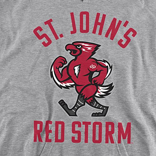 LOGOVISION St. John's University Official One Color Logo Youth Kids Boy/Girls Pull-Over Hoodie Sweatshirt2