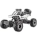 Lihgfw Schwarz Klettern High Speed Alloy 2.4G RC Buggy, 4WD Mountain Cross-Country Mountain Altes RC Auto Spielzeug, 1/12 Geländewagen Ferngesteuertes Auto,Geburtstagsgeschenk Für 8 Jahre Altes Kind