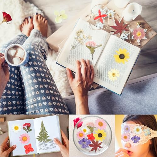 Juego de 152 flores secas prensadas para manualidades miniatura 7