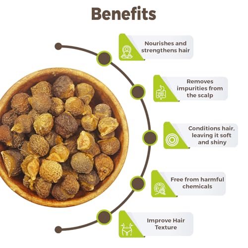 Image of CARMEL ORGANICS Soapnut /Reetha Whole 300g | Pure Reetha Pods | Natural Hair Cleanser & Conditioner | Chemical-Free & Eco-Friendly, No Added Preservatives, Kumkudukai