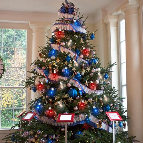 Pasuto 22.8Ft 4Th Of July Red White And Blue Lights, C7 Incandescent Outdoor String Lights With 23 Bulbs(3 Spare) For Memorial Day Independence Day Patio Garden Backyard Bistro Pergola Decorations thumb #5