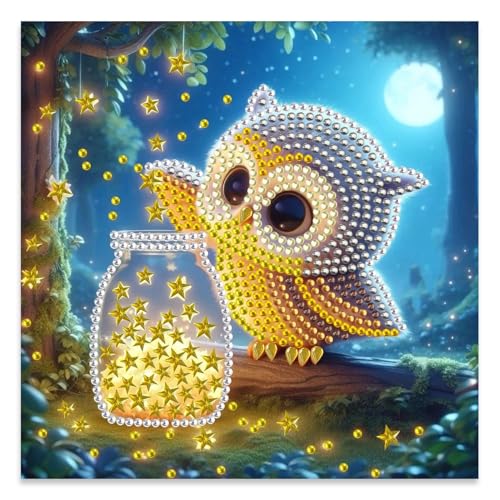 JATOK Diamond Art Kits for Adults, Cute Owl, Special-Shaped Gems