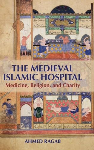 The Medieval Islamic Hospital view 2