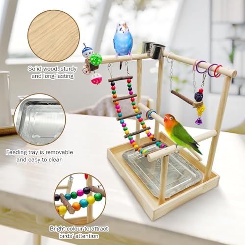 image for PINVNBY Bird Playground Parrot Playstand Play Gym Cockatiel Wood Bird 