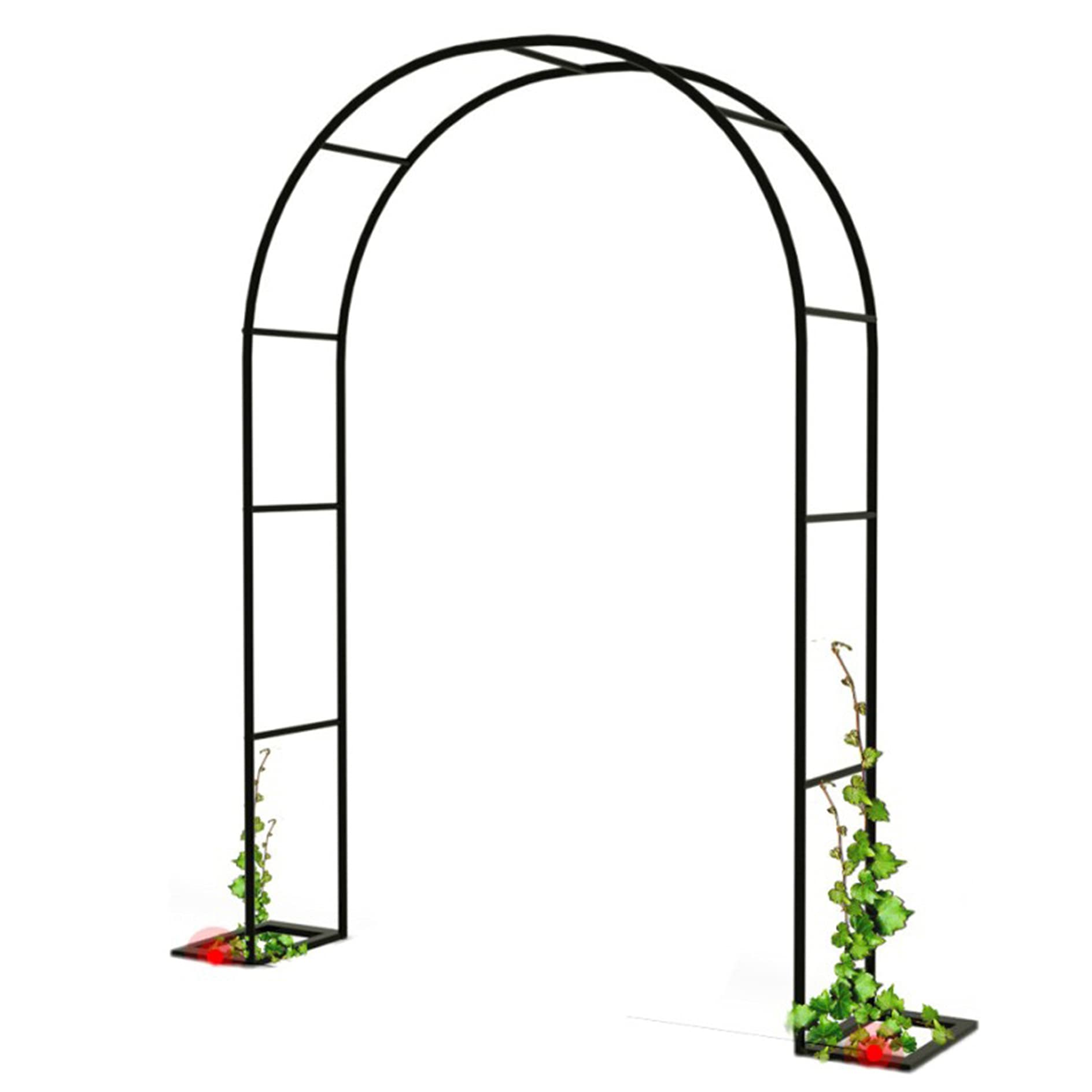 Support pour plantes grimpantes en métal noir, arche de jardin robuste au design épuré