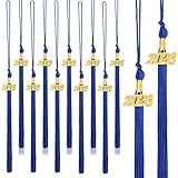 JULMELON 2026 Graduation Tassels, 20Pcs Graduation Cap Tassels 2026 Grad Graduation Tassels for...