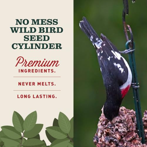 Image of Mr. Bird WildBird Feast Cylinder, 2-Pack, 4 lbs