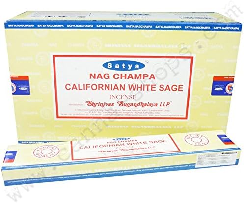 Californian White sage - x12