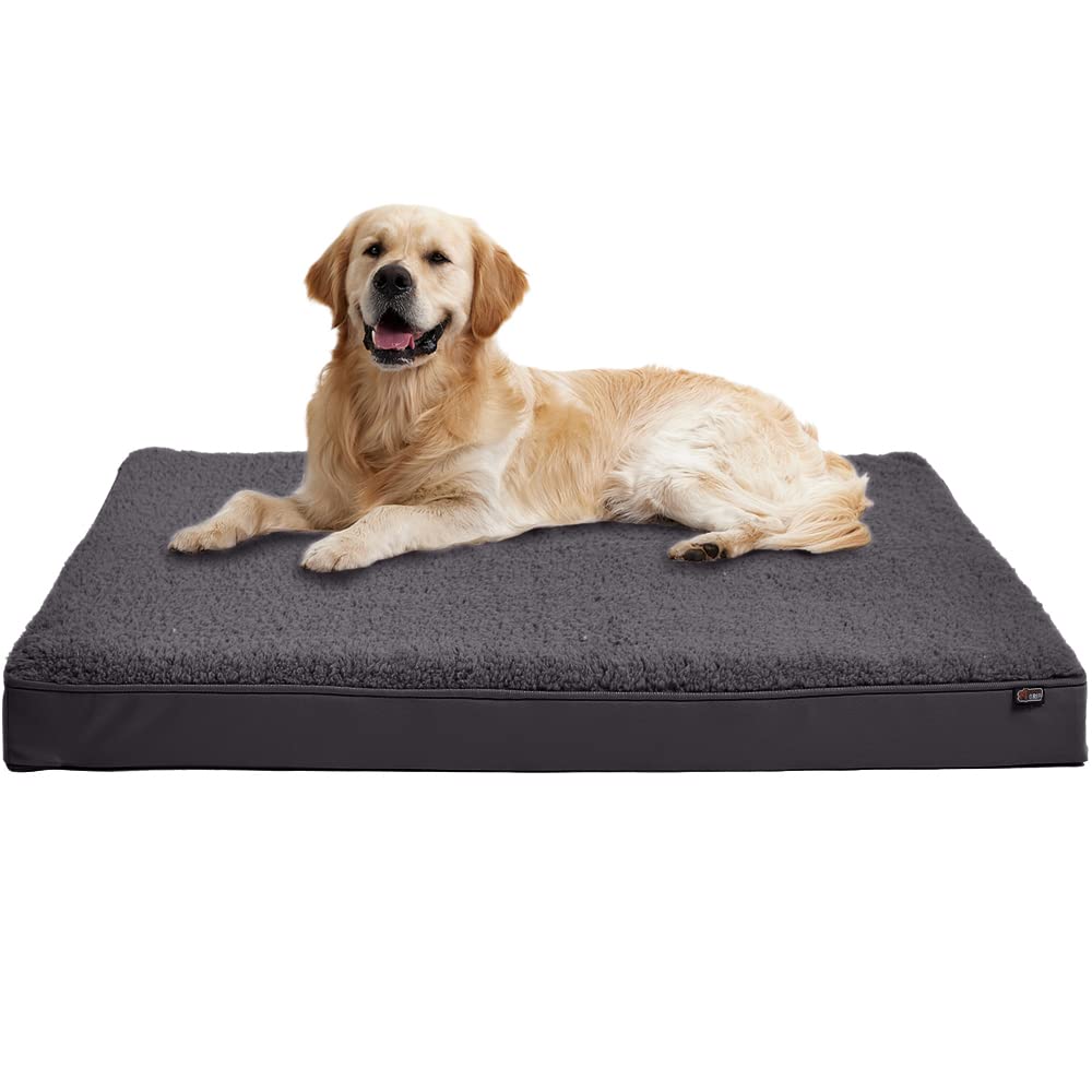 How Do You Wash A Dog Bed Without A Removable Cover