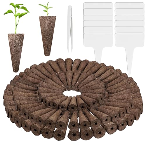 Lot de 50 éponges de croissance (marron foncé)