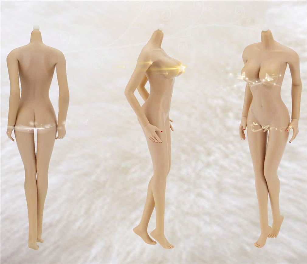 Amazon.co.jp: R·DOLL 1/6 フィギュア 素体 女性 ボデイ