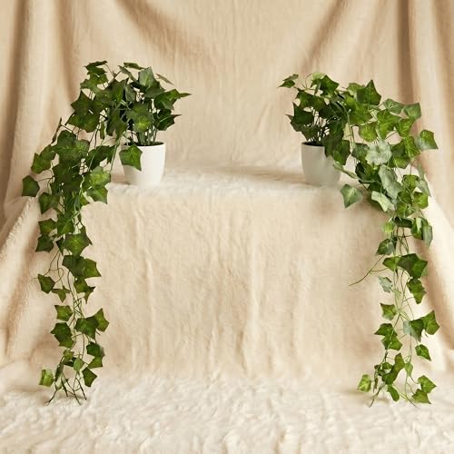 Image of Dekorly Artificial Hanging Garland with Pot - 100cm Rose Vine, 10cm Decorative Pot for Table, Shelf & Wall Decor (2, Star Money Vine)