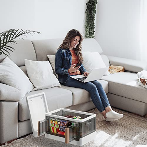 Sillars Storage Bins With Lid, Plastic Foldable Storage Box, Stackable And Nestable Storage Container For Home Organization, 3 Packs, 8 Gallons, Transparent #TOP5