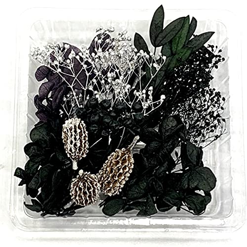 【NICHIFLRO】 ニチフロ ハンドメイド材料 花資材 小分け ハーバリウム アロマワックスサシェ レジン ネイル プリザーブドフラワー ドライフラワー クラフト 花材セット (ブラック＆シルバー)（Amazon）