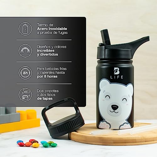 Encuentra la mejor selección de Termo oso disponible en línea. 27 Imagen adicional