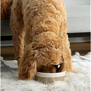 Waggo dipper ceramic dog bowl for small and large breeds  heavyweight and durable pet food and water dish crock dishwasher safe modern vintage grey large   cucciolini doodles