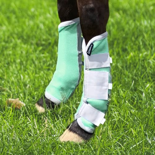 Image of Harrison Howard Horse Fly Boots Leg Guards Fly Boots Protection Set of 4 Aqua Medium Cob
