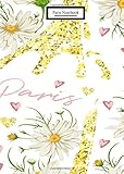 Paris Notebook: Paris themed notebook ruled, 5 x 7 Lined Journal Notebook, B6 Planner notebook, Dairy, 120 pages,paris planner V.26