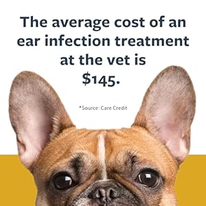 Veterinary Formula Clinical Care Ear Therapy 8 Oz  Cat and Dog Ear Cleaner  Helps Soothe Itchiness and Clean the Ear Canal of Debris and Buildup  Cucciolini Doodles Veterinary formula clinical care ear therapy 8 oz  cat and dog ear cleaner  helps soothe itchiness and clean the ear canal of debris and buildup   cucciolini doodles