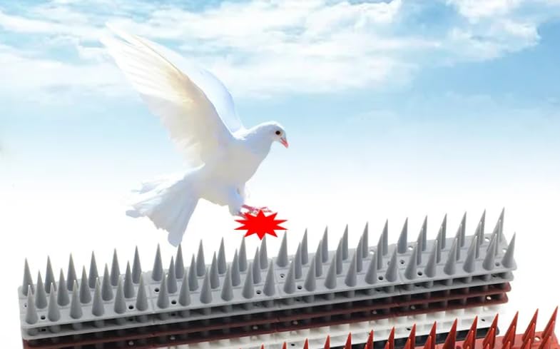 Image of Bird Spikes (Pack of 5) Pigeon Control Spikes with (Installation Kit),Spikes for AC Balcony Railing Window Home Protection from Pigeon Dog Monkey Crow Kabootar (Silver)