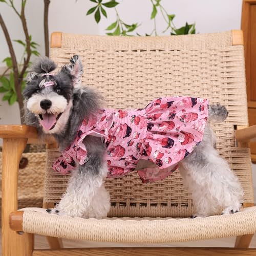 Image of CuteBone Frilly Dog Dress Princess Puppy Birthday Dresses with Ruffled Sleeves Cat Clothes Outfit for Small Dogs Girl Pet Apparel