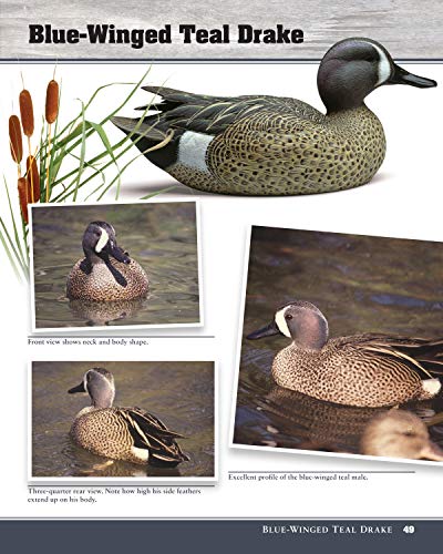 Decorative Decoy Carver's Ultimate Painting & Pattern Portfolio, Revised Edition (Fox Chapel Publishing) Drakes & Hens For 16 Species With Full-Color Patterns, Mixing Instructions, & Over 100 Photos #TOP4