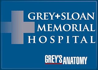 Ata-Boy Grey's Anatomy Grey Sloan Memorial 2.5" x 3.5" Magnet for Refrigerators and Lockers