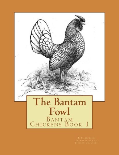 Best Bantam Chickens