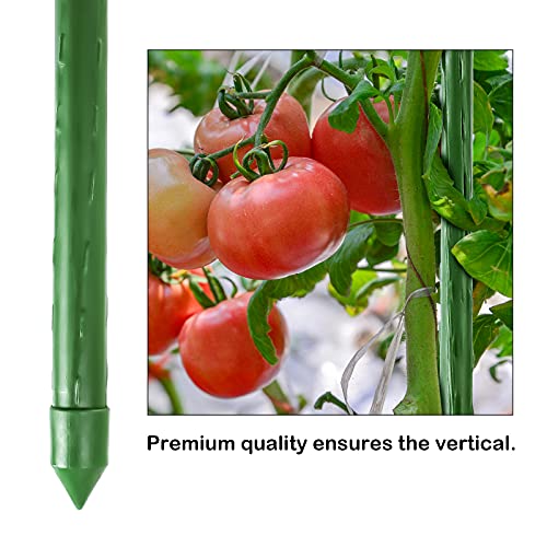 FEED GARDEN Garden Stakes 72 Inch 6ft 25 Pack, Sturdy Plant Metal Sticks Support, Plastic Coated Plant Stakes,Tomato Stakes, Beans,Trees by FEED GARDEN - Image 3